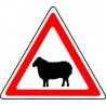 Panneau Passage d'Animaux Domestiques (Mouton)