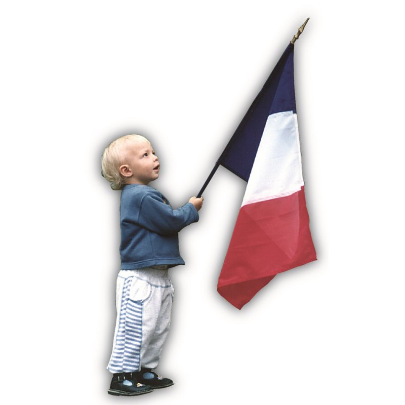 Petit drapeau français avec poteau, France Feel the hand, drapeau national  de remise, 14*21cm, 50 pièces - AliExpress