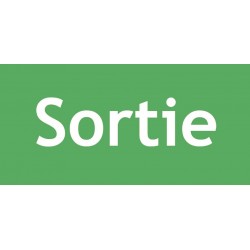ÉTIQUETTE SORTIE POUR BLOCS D'ÉCLAIRAGE SÉCURITÉ - Lot de 10