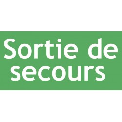 ÉTIQUETTE SORTIE SECOURS POUR BLOCS D'ÉCLAIRAGE SÉCURITÉ - Lot de 10